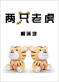 柳满坡小说《两只老虎》