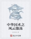 吾民良品小说《中华国术之风云激荡》