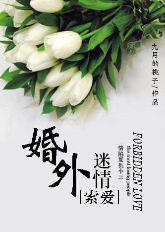 九月的桃子小说《索爱：婚外迷情》